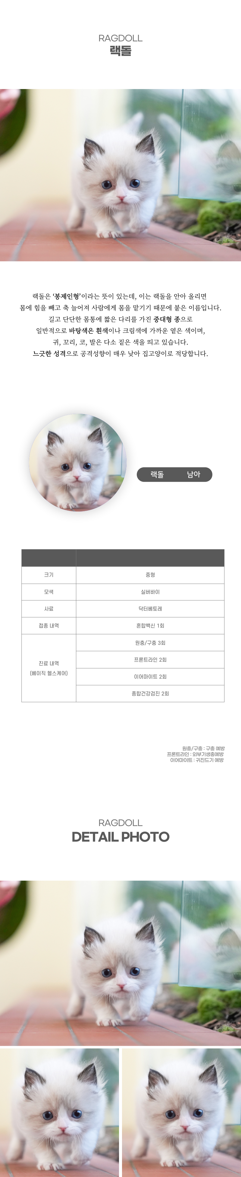 랙돌_상세이미지_2